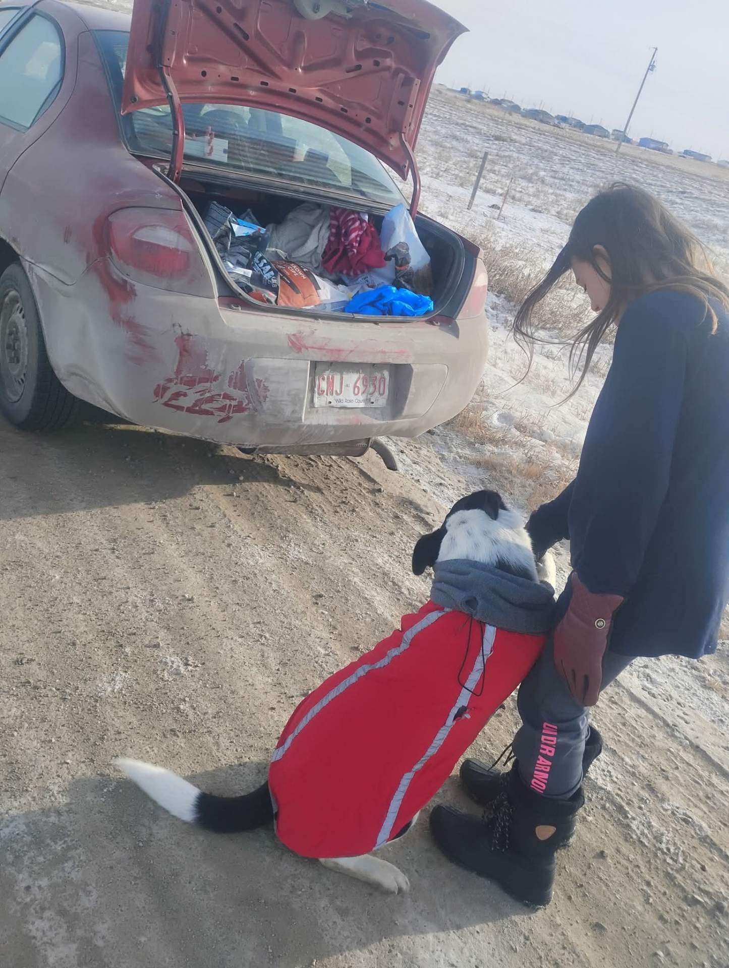 Dog Jackets Provided