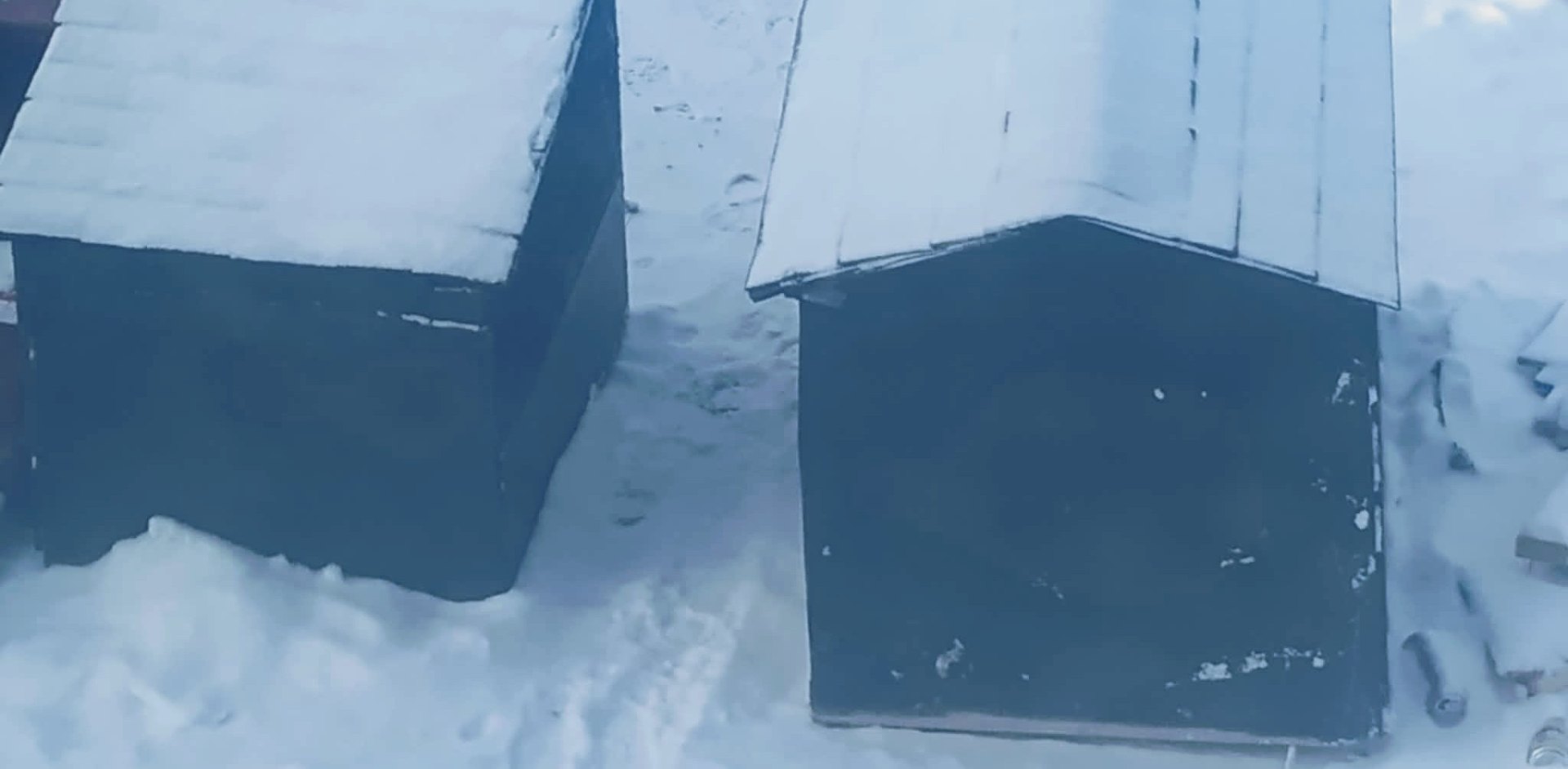 Two new dog houses dropped off ahead of an Alberta cold snap.